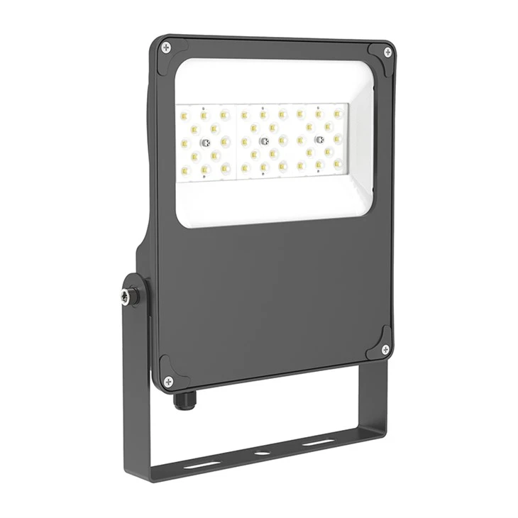 Waterproof Led Flood Lamp price